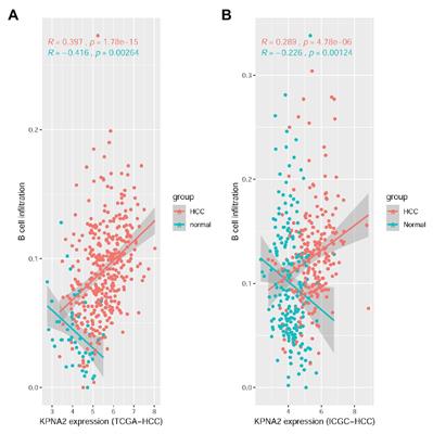 KPNA2-Associated Immune Analyses Highlight the Dysregulation and Prognostic Effects of GRB2, NRAS, and Their RNA-Binding Proteins in Hepatocellular Carcinoma